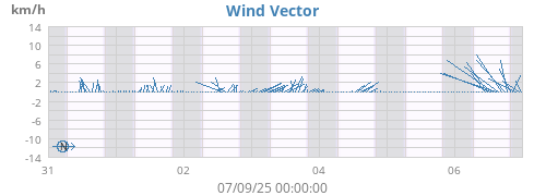 Wind Vector